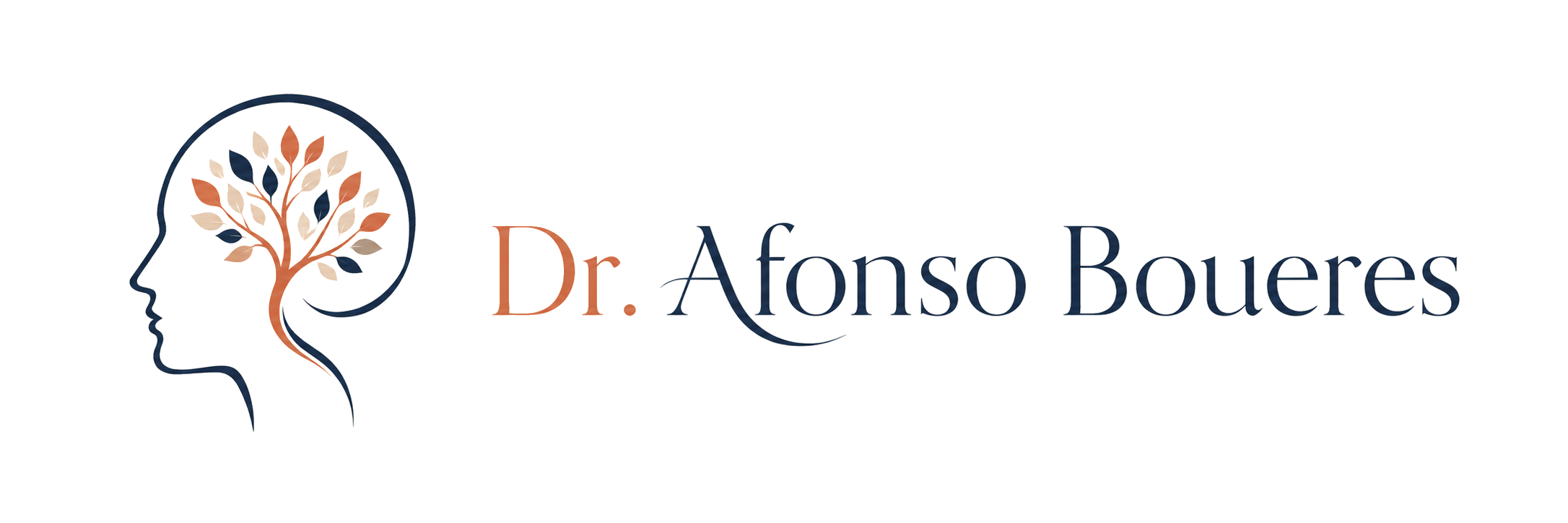 Dr. Afonso Boueres